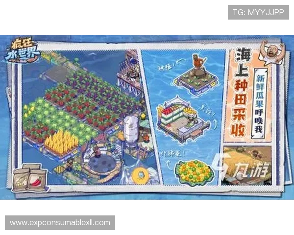 playace对战平台支持多种游戏类型，满足不同玩家的竞技需求与娱乐体验