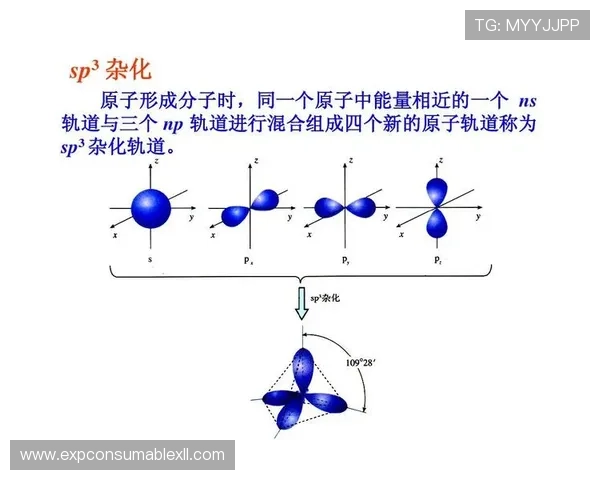 分析PT电子轨道排布在复杂分子中的表现及其对分子性质的调控作用