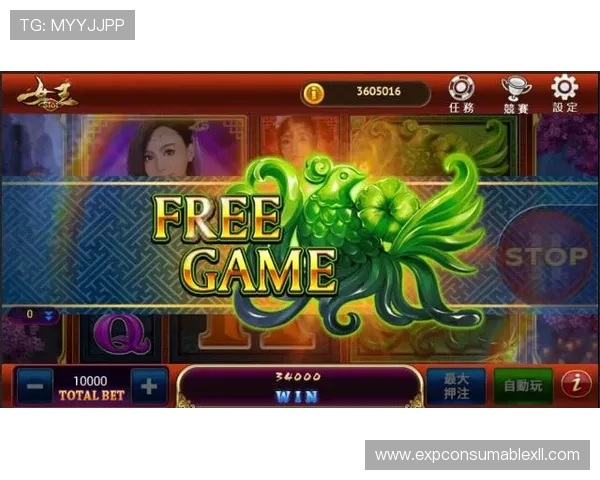 探索老虎机真人游戏的历史发展与未来趋势