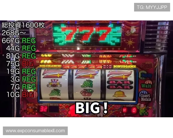 最新老虎机游戏推荐2024年度最火爆的老虎机游戏排行榜分析