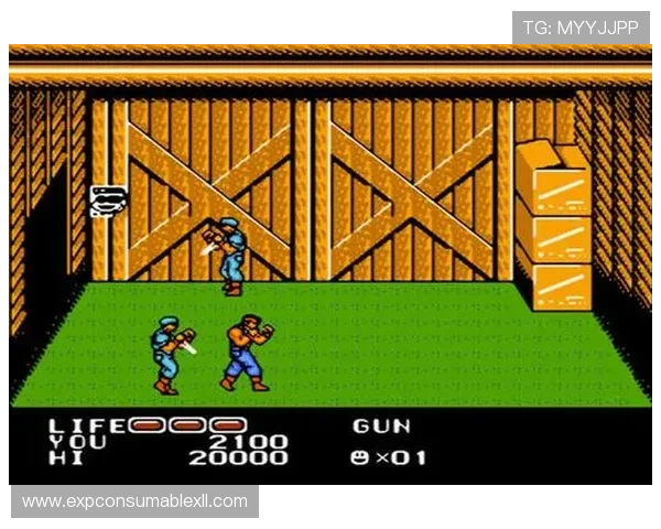 FC老虎机不同类型游戏介绍满足多样玩家需求的最佳选择 FC老虎机不同类型游戏介绍满足多样玩家需求的最佳选择