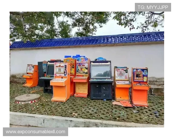 老虎机多福多财怎么玩的详细步骤和注意事项让你玩得更顺畅