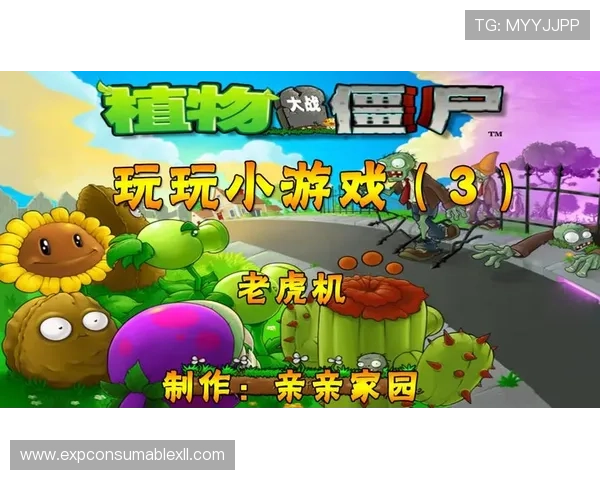 角子机游戏机的安全使用指南保障玩家权益与设备安全