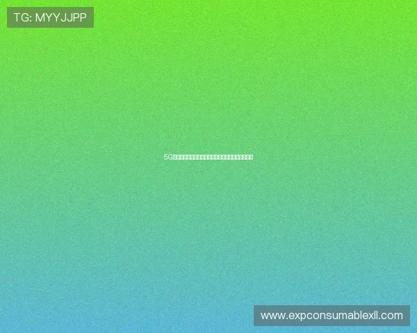 5G电子区如何助力电子商务与虚拟交易的安全高效实现
